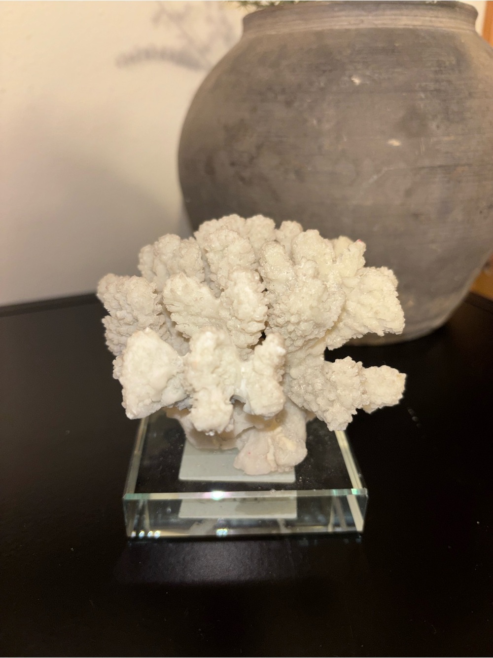 White Coral Table Accent Sculpture Decor
